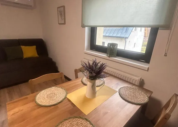 Lägenhet Nad Metuji